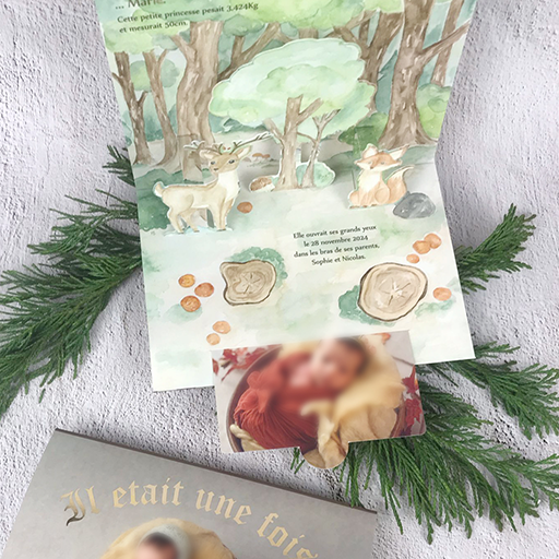 Faire-part de naissance