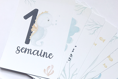 Cartes première année